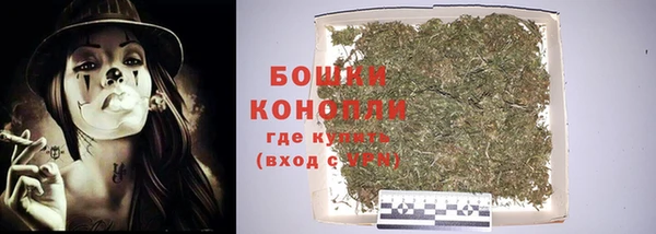 сатива Кодинск