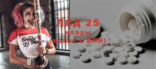 дживик Козельск
