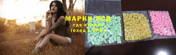сатива Кодинск