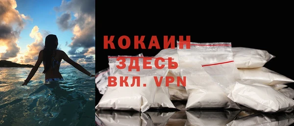 сатива Кодинск