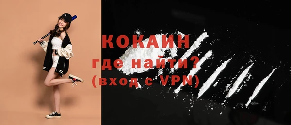 дживик Козельск