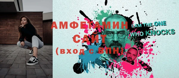ГАЛЛЮЦИНОГЕННЫЕ ГРИБЫ Козловка