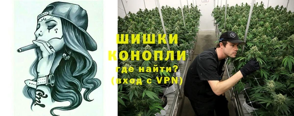 дживик Козельск