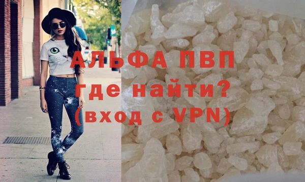 ГАЛЛЮЦИНОГЕННЫЕ ГРИБЫ Козловка