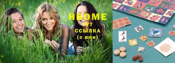 ГАЛЛЮЦИНОГЕННЫЕ ГРИБЫ Козловка