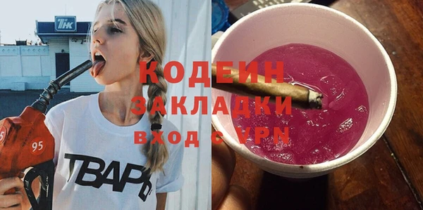 ГАЛЛЮЦИНОГЕННЫЕ ГРИБЫ Козловка