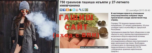 ГАЛЛЮЦИНОГЕННЫЕ ГРИБЫ Козловка