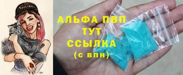ГАЛЛЮЦИНОГЕННЫЕ ГРИБЫ Козловка