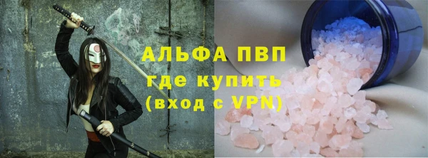 ГАЛЛЮЦИНОГЕННЫЕ ГРИБЫ Козловка