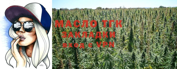 ГАЛЛЮЦИНОГЕННЫЕ ГРИБЫ Козловка