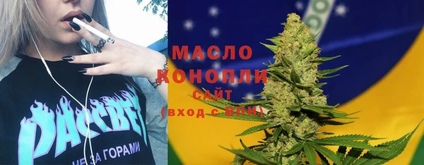 ГАЛЛЮЦИНОГЕННЫЕ ГРИБЫ Козловка
